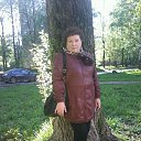 ���� ����, ��������� - ��������� 28 �������� 2015