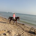 ������ �������� �� ������ ���� �� ������� ���� ����������