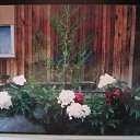 ���� �������, ���������� - ��������� 29 ������� 2015 � ������ ���� ������