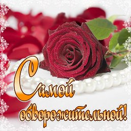 ���� �����, ����, 60 ��� - ��������� 6 ����� 2016
