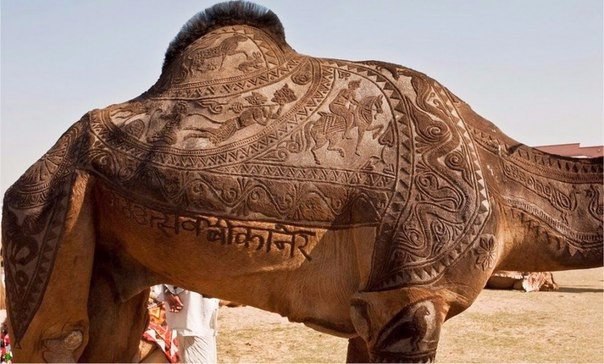  .#wow@https://fotostrana.ru/away?to=/sl/XE2