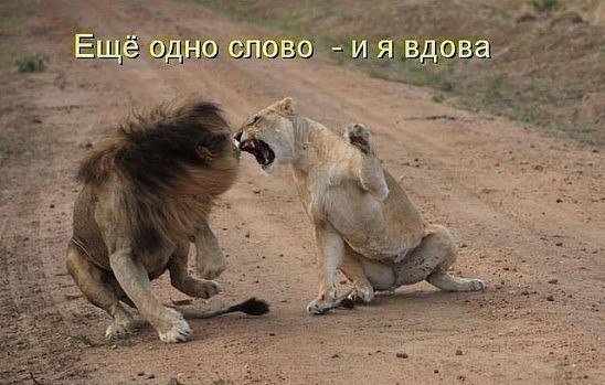 - ,   ??? - , !!! -   ??? - , .   ...