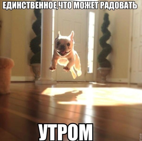   - 2  2015  18:32