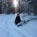  , , 54  -  7  2016    .