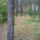 ���� �����, �������, 55 ��� - ��������� 12 ������ 2016 � ������ ���� ����������