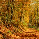 ���� �������, ����� - ��������� 28 ������� 2015 � ������ ���� ����������