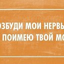  , -, 44  -  31  2016    