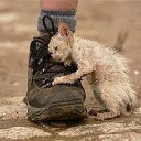 ���� Kolya, ����, 52 ���� - ��������� 1 ������� 2015 � ������ ������ ��������