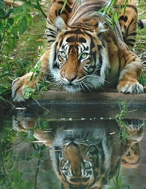   - 1  2015  03:03 - 4