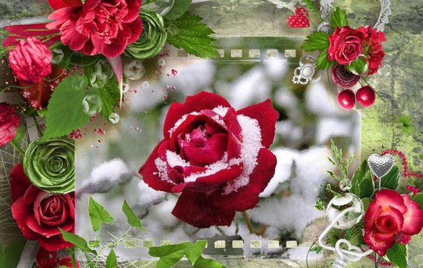 Счастье… да кто его знает? Может, оно летает….Может смеется, плачет, - в выстреле или отдаче. А ...