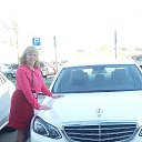 ���� ������, ������������, 43 ���� - ��������� 14 ������ 2016 � ������ ���� ����������