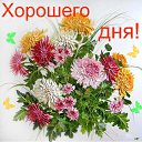 ���� �������, ��������, 61 ��� - ��������� 27 ������� 2016 � ������ ���� ����������