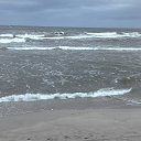  Skoj,  -  2  2016   --2015-16.