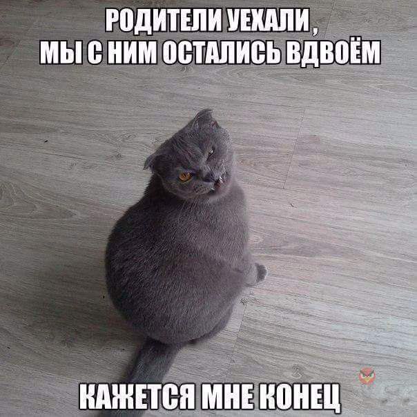   - 30  2015  21:57