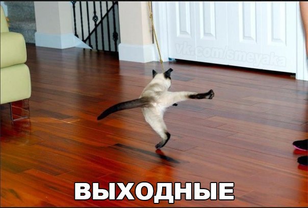-  - - 14  2015  11:13
