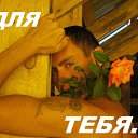 ���� �������, ����������, 43 ���� - ��������� 25 ������ 2015 � ������ ���� ����������