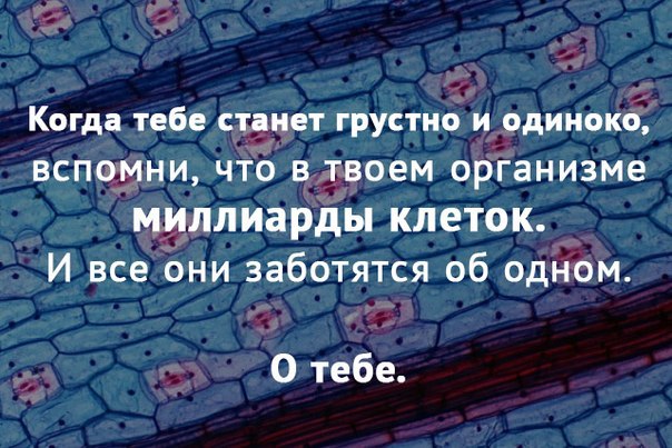  ,   ...