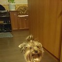 ���� ����, ������, 37 ��� - ��������� 12 ������ 2016 � ������ ���������