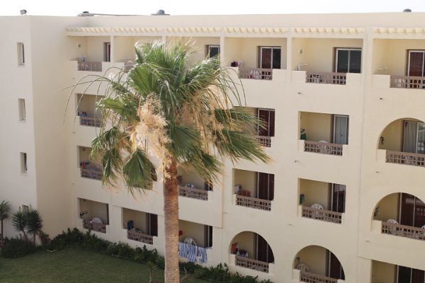 �����, Novostar Palmyra 3*, 2014 - 6