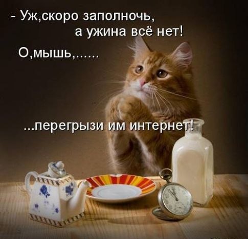 ��� ���� � ����� �� �� - 11 ������� 2015 � 04:31