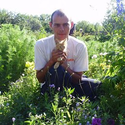 �����, ���������, 44 ����