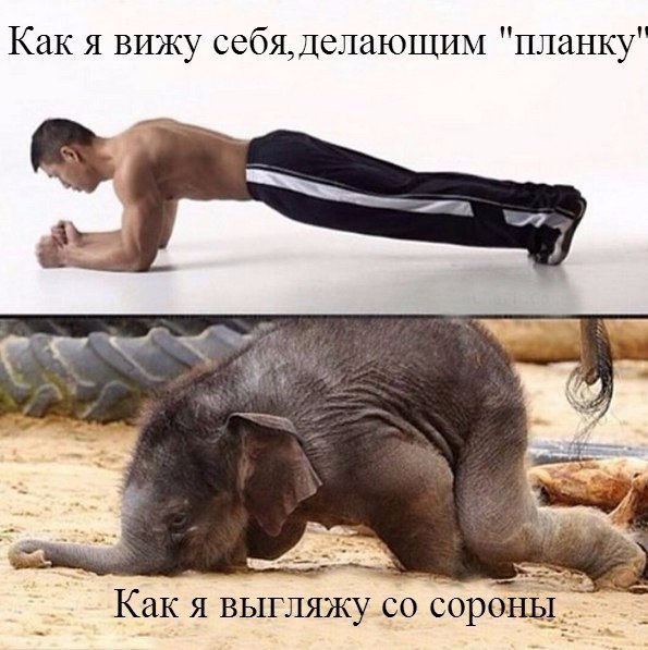  -   - 19  2015  22:51