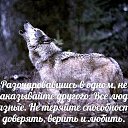 ���� ? Alina?, ��������� - ��������� 1 ������� 2015 � ������ ������ ��������