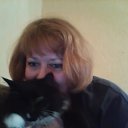 ���� �������, ����������, 54 ���� - ��������� 1 ����� 2016