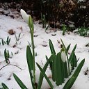  , , 60  -  29  2016     ,23.01.16.