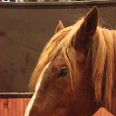 ���� ������, �����-���������, 70 ��� - ��������� 4 ������� 2015 � ������ ��� ������ �������� � �����-����������