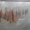 ���� �����, ������� - ��������� 17 ������� 2015 � ������ ���� ����������