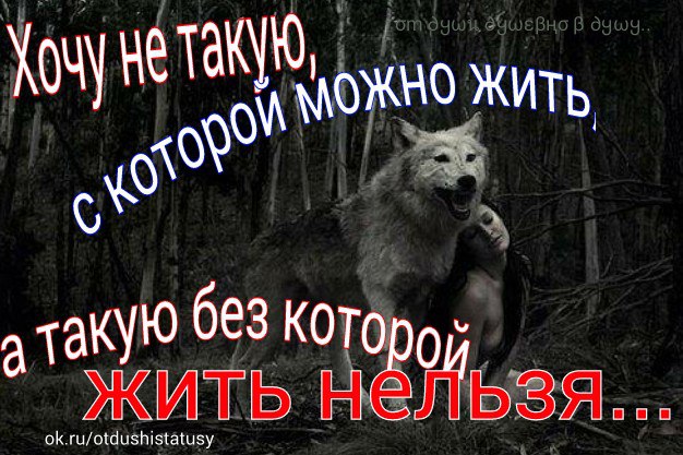   - 19  2016  16:36