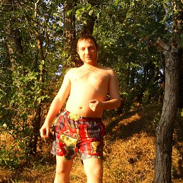 , 41, 