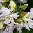 ������� 2015 �� ������� �����ܻ