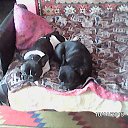 ���� �����, �����, 61 ��� - ��������� 27 ������ 2016