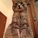 ����� ������ ������, ����� �� ����. ����� ��� ���������� ��� � ����)) �� ������� ���� ����������