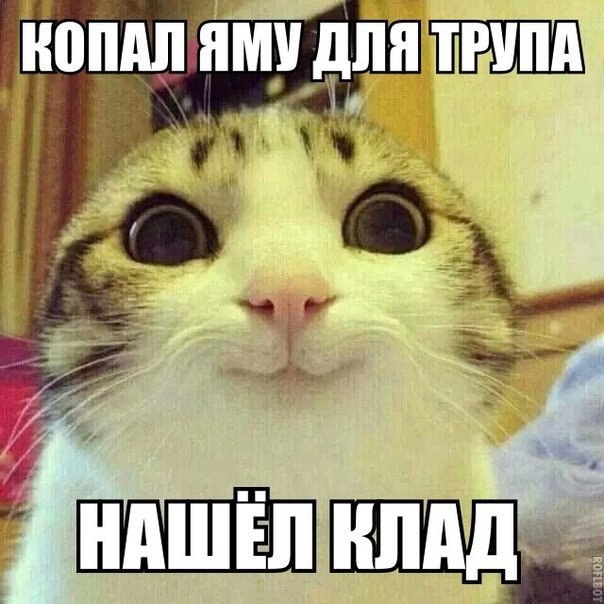     - 3  2015  16:43