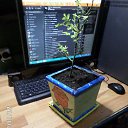 ���� �������� ����, ������, 46 ��� - ��������� 27 ������ 2015 � ������ �������