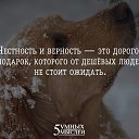 ���� ������, ������, 43 ���� - ��������� 5 ����� 2016 � ������ ������...................�