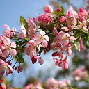  , , 52  -  24  2015   !!!