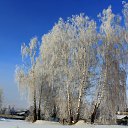  ,  -  21  2016   .