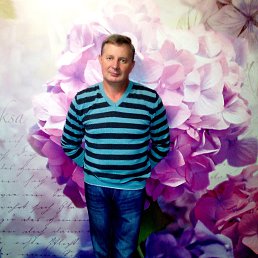 ���� �����, �������, 62 ���� - ��������� 8 ������ 2015