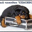  ,  -  23  2016    