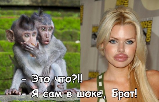 ***Victoria Viktorovna*** - 13  2015  05:17