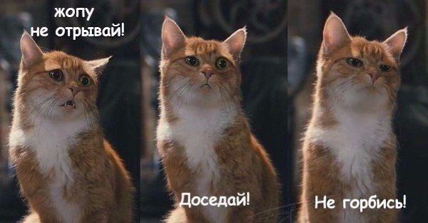 Правильная техника — залог видимого результата
