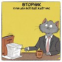 ���� �����, �������, 37 ��� - ��������� 7 ������ 2016 � ������ ���� ����������