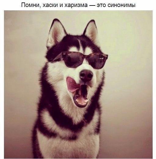 ...    - 3