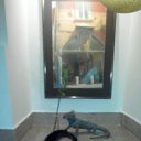 ���� �����, ������, 47 ��� - ��������� 10 ������ 2016 � ������ ��� ���� �������� � ����