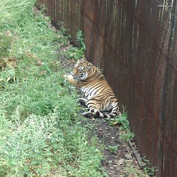 ���� ��������, ������� �������� - ��������� 5 ������ 2016