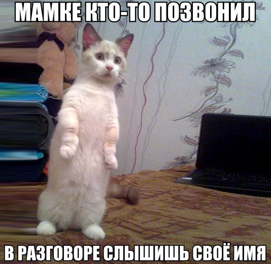   | , ,  - 15  2016  19:05